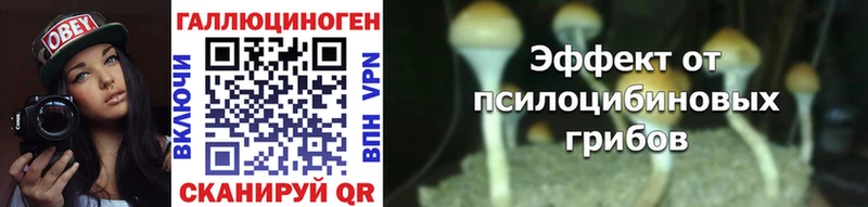 Псилоцибиновые грибы MAGIC MUSHROOMS  где купить наркотик  Пущино 