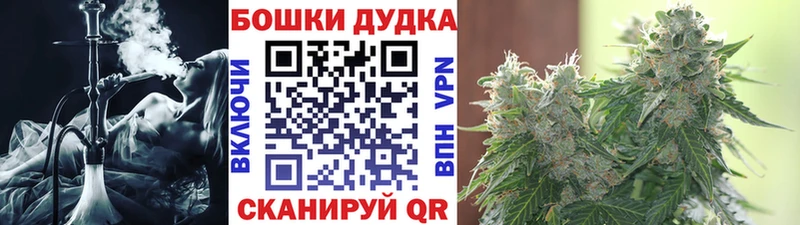 kraken онион  Пущино  Бошки марихуана LSD WEED  наркошоп 